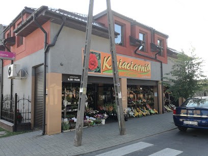 Kwiaciarnia Wasiakowie, Kwiaciarnia w Kutno