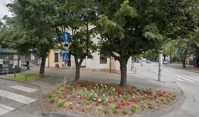 Powązka Henryk. Kwiaciarnia, Kwiaciarnia w Opoczno