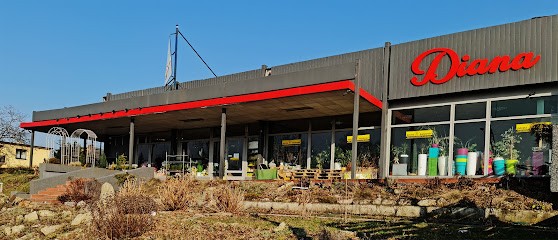 Królestwo Kwiatów Diana Bielsko, Kwiaciarnia w Bielsko-Biała