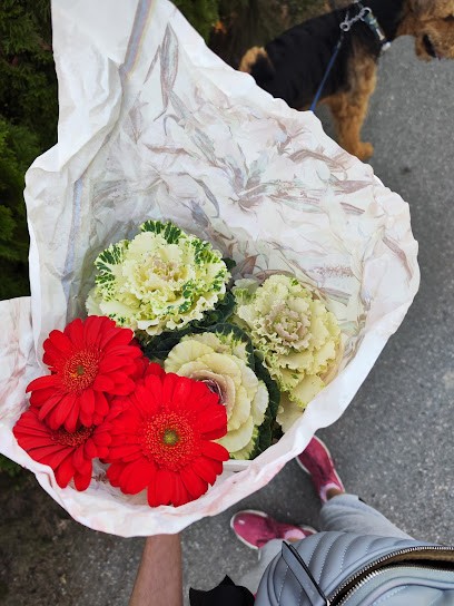 Lawenda, Kwiaciarnia w Gdów