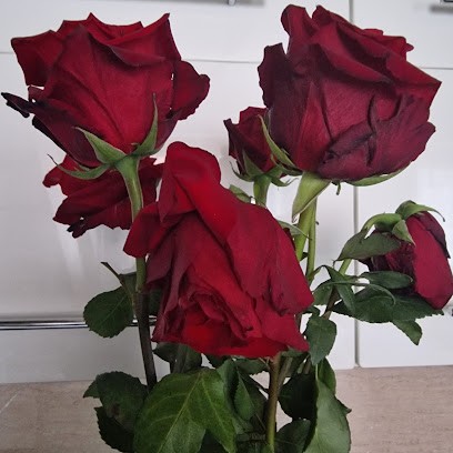 Kama. Kwiaciarnia E. Wiśniewska, Kwiaciarnia w Grudziądz