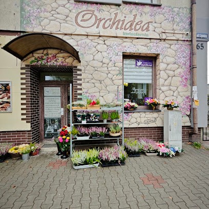 Orchidea Andrzej Biegaj, Kwiaciarnia w Gliwice