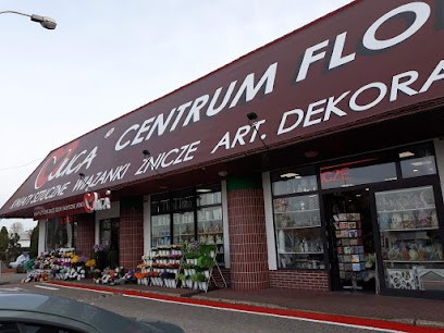 JUCA CENTRUM FLORYSTYCZNE, Kwiaciarnia w Łódź