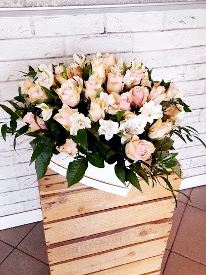 Storczyk. Kwiaciarnia. upominki, Kwiaciarnia w Zielona Góra