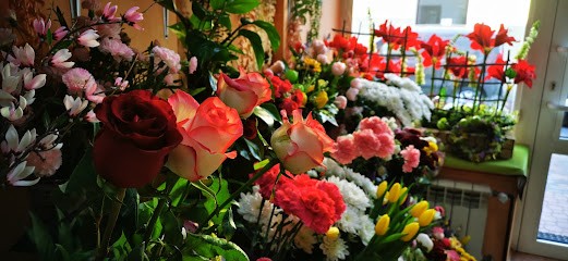 Kwiaciarnia ASTER, Kwiaciarnia w Radzyń Podlaski