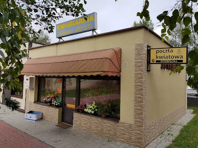 Mimosa. Florist, Flower Mail, Kwiaciarnia w Kielce