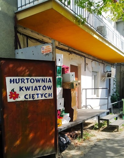 Skaraczyńska Małgorzata. Wholesale cut flowers, Kwiaciarnia w Lublin