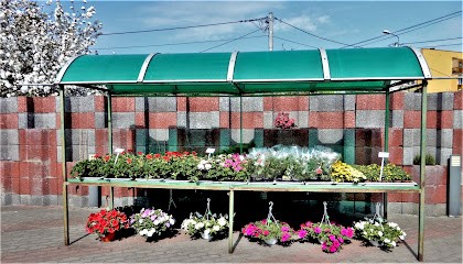 Florist B. M. Trempała, Kwiaciarnia w Bydgoszcz