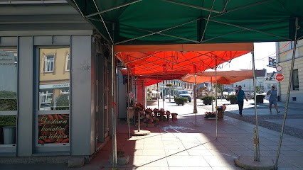 Sprzedaż kwiatów, Kwiaciarnia w Kielce