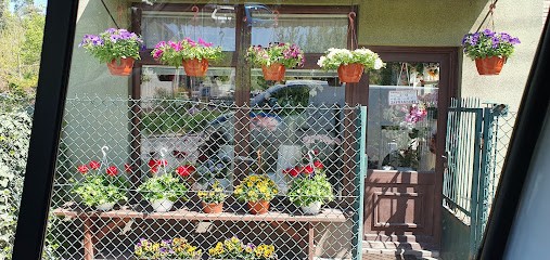 Gruszczyński Mirosław. Kwiaciarnia, Kwiaciarnia w Wołomin