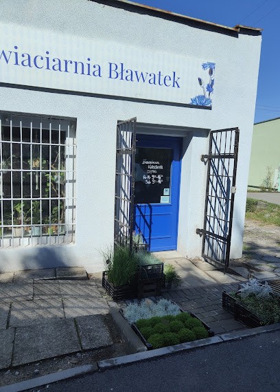 Kwiaciarnia Bławatek, Kwiaciarnia w Turawa