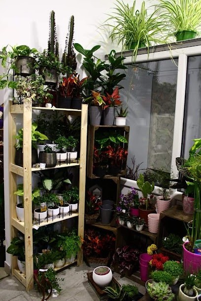 CudaWianki Diana Kubów, Kwiaciarnia w Lublin