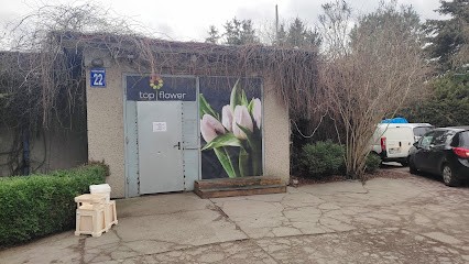 Top Flower hurt-detal kwiatów Piotr Wroński, Kwiaciarnia w Szczecin