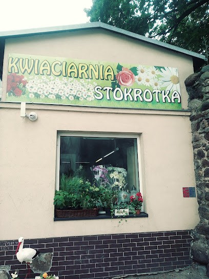 Stokrotka, Kwiaciarnia w Grodków
