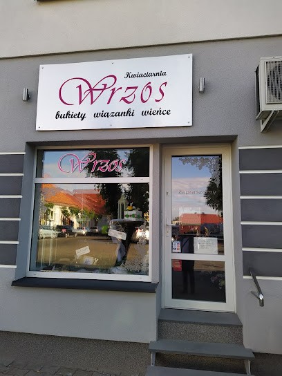 Kwiaciarnia Wrzos, Kwiaciarnia w Pyzdry