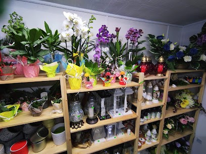 Kwiaciarnia U Ani, Kwiaciarnia w Iłów