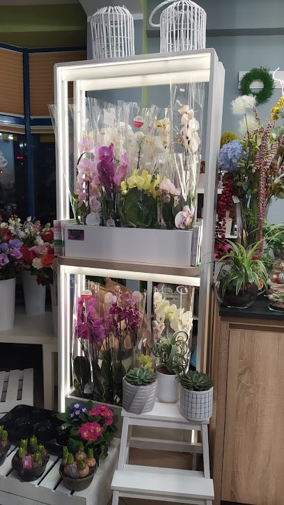 Salon Kwiatowy 4 Pory Roku Maciej Grzankowski, Kwiaciarnia w Bydgoszcz