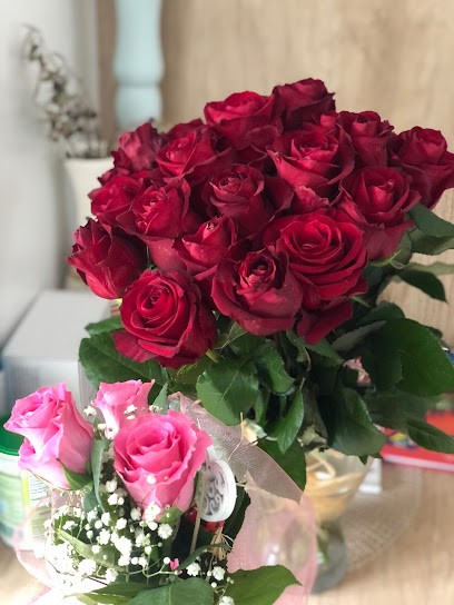 Freesia. Florist. Nowiński B., Kwiaciarnia w Syców