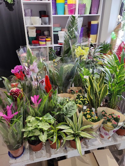 Nie tylko Kwiaciarnia, Kwiaciarnia w Kadzidło