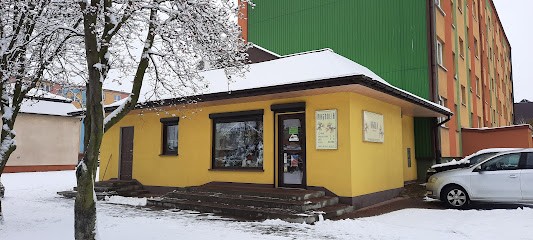 Magnolia. Kwiaciarnia. Koprowska K., Kwiaciarnia w Poddębice