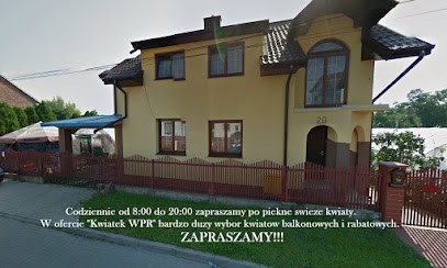 Kwiaty balkonowe i rabatowe Kwiatek WPR, Kwiaciarnia w Pruszków