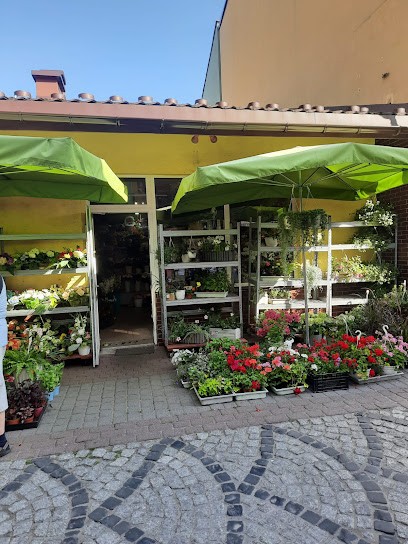 Magra. Kwiaciarnia, Kwiaciarnia w Jaworzno