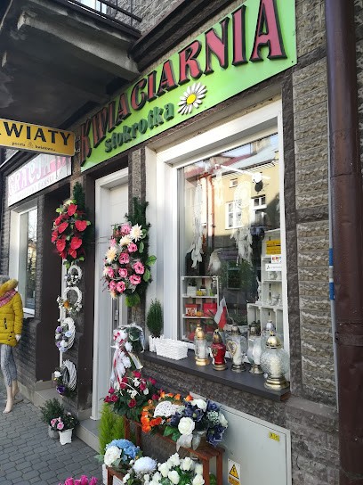 Kwiaciarnia Stokrotka, Kwiaciarnia w Ustrzyki Dolne