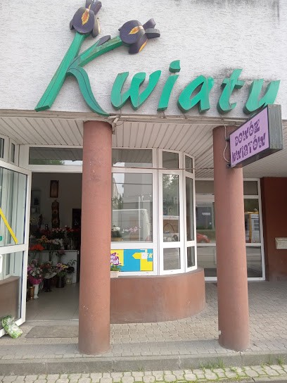 Irys. Kwiaciarnia, Kwiaciarnia w Kielce