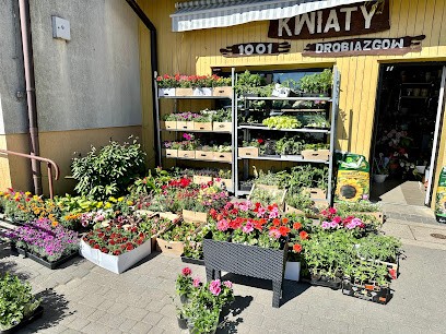 Kwiaciarnia 1001 drobiazgów, Kwiaciarnia w Nowy Żmigród