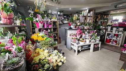 Kwiaciarnia, Kwiaciarnia w Opole