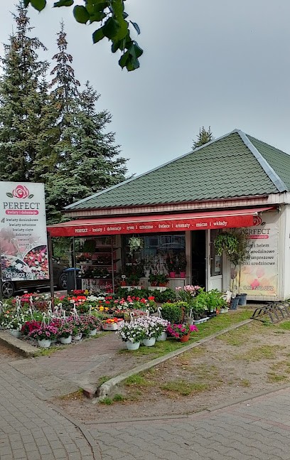 Perfect Kwiaty i Dekoracje Ewelina Kucz, Kwiaciarnia w Skwierzyna