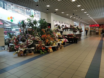 Kwiaciarnia IMPRESJA Kwiaty I Sztuka, Kwiaciarnia w Lublin