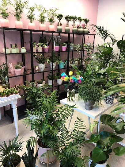 Fajne Kwiatki, Kwiaciarnia w Łomża