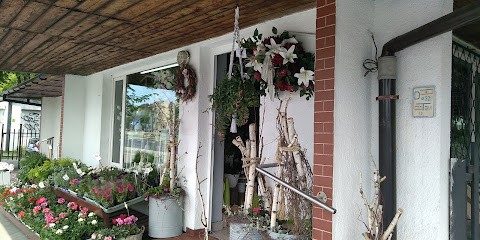 Anturium. Kwiaciarnia, Kwiaciarnia w Toruń