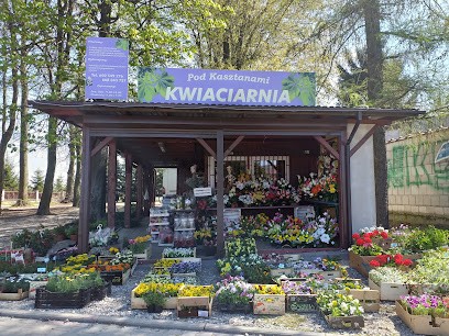 Pod Kasztanami, Kwiaciarnia w Narama