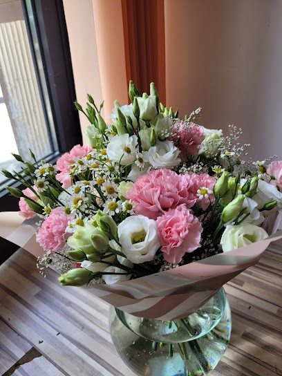 Cyklamen, Kwiaciarnia w Gdynia