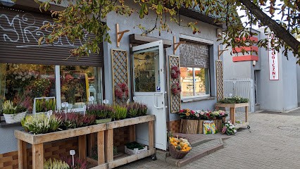 Kwiaciarnia Brochów, Kwiaciarnia w Wrocław