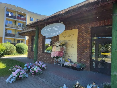 Kwiaciarnia Azalia Iława Dąbrowskiego, Kwiaciarnia w Iława