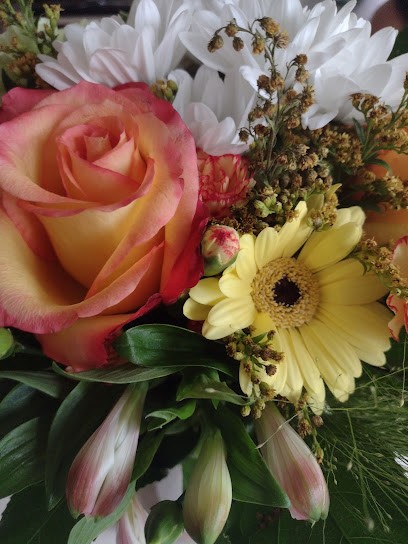 Kwiaciarnia Imbir, Kwiaciarnia w Gdynia