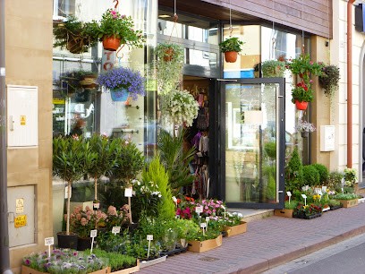 Kwiaciarnia SIZAL, Kwiaciarnia w Jasło