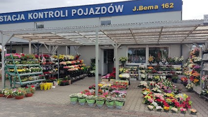 frezja.com, Kwiaciarnia w Ostrów Wielkopolski