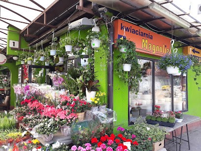 Magnolia, Kwiaciarnia w Krąków