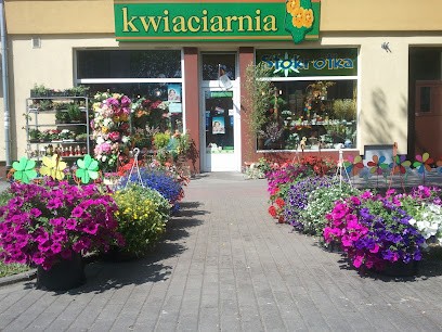 Stokrotka, Kwiaciarnia w Szczecinek