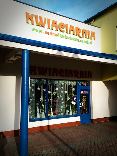 Kwiaciarnia Nerina Sanok, Kwiaciarnia w Sanok