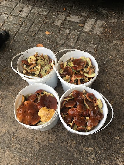 Bukieciarnia Mobilna, Kwiaciarnia w Poddąbie