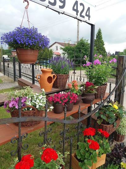 Kwiaciarnia Z Tradycją I Pomysłem, Kwiaciarnia w Liniewo