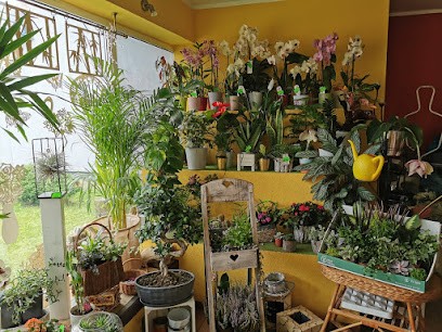 Kwiaciarnia & Fun Shop Floris, Kwiaciarnia w Strzelce Opolskie