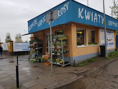 Kwiaciarnia Niezapominajka, Kwiaciarnia w Wrocław