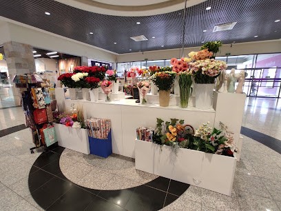 Kwiaciarnia Zamość - Kwiatomania, Kwiaciarnia w Zamość