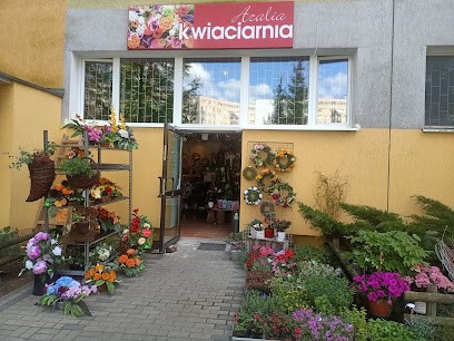 Kwiaciarnia Azalia Olsztyn, Kwiaciarnia w Olsztyn